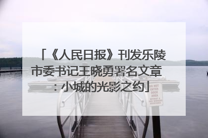 《人民日报》刊发乐陵市委书记王晓勇署名文章：小城的光影之约