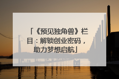 《预见独角兽》栏目：解锁创业密码，助力梦想启航