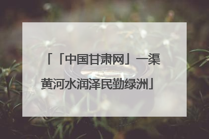 「中国甘肃网」一渠黄河水润泽民勤绿洲