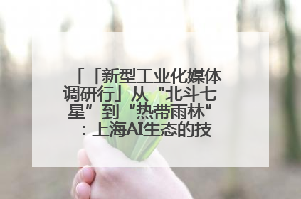 「新型工业化媒体调研行」从“北斗七星”到“热带雨林”：上海AI生态的技术商业共生密码