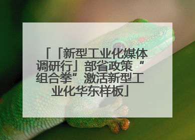「新型工业化媒体调研行」部省政策“组合拳”激活新型工业化华东样板