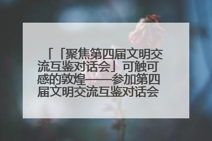 「聚焦第四届文明交流互鉴对话会」可触可感的敦煌——参加第四届文明交流互鉴对话会的外宾参观上元市集
