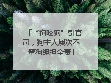 “狗咬狗”引官司，狗主人屡次不牵狗绳担全责