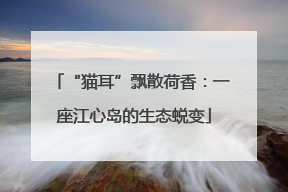 “猫耳”飘散荷香：一座江心岛的生态蜕变