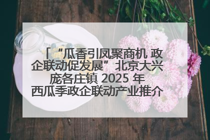 “瓜香引凤聚商机 政企联动促发展”北京大兴庞各庄镇 2025 年西瓜季政企联动产业推介活动圆满举行
