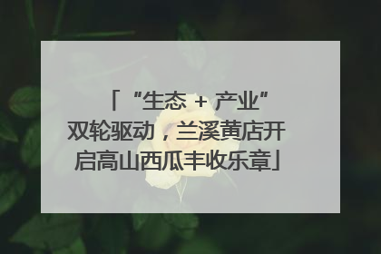 “生态 + 产业”双轮驱动，兰溪黄店开启高山西瓜丰收乐章