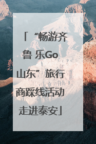 “畅游齐鲁 乐Go山东”旅行商踩线活动走进泰安