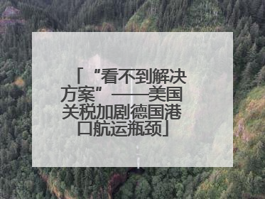 “看不到解决方案”——美国关税加剧德国港口航运瓶颈