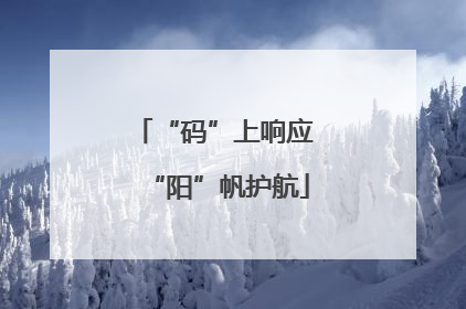 “码”上响应 “阳”帆护航