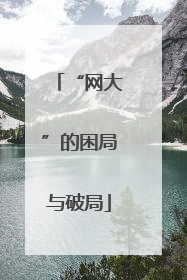 “网大”的困局与破局