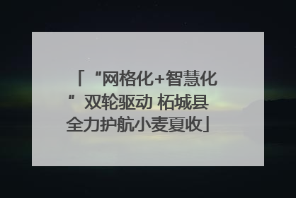 “网格化+智慧化”双轮驱动 柘城县全力护航小麦夏收