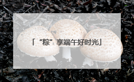 “粽”享端午好时光