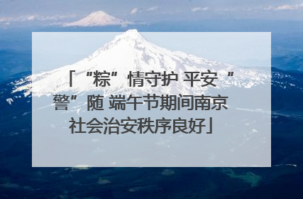 “粽”情守护 平安“警”随 端午节期间南京社会治安秩序良好