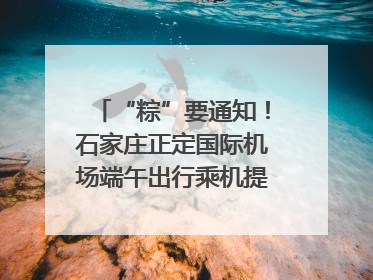 “粽”要通知！石家庄正定国际机场端午出行乘机提示，快来get