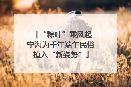 “粽叶”乘风起 宁海为千年端午民俗植入“新姿势”