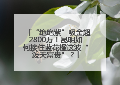 “绝绝紫”吸金超2800万！昆明如何接住蓝花楹这波“泼天富贵”？