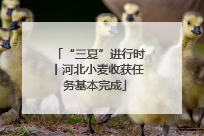 “三夏”进行时丨河北小麦收获任务基本完成