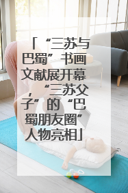 “三苏与巴蜀”书画文献展开幕，“三苏父子”的“巴蜀朋友圈”人物亮相
