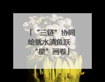 “三链”协同 绘就水清鱼跃“星”画卷