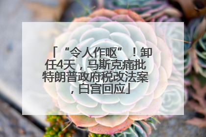 “令人作呕”！卸任4天，马斯克痛批特朗普政府税改法案，白宫回应
