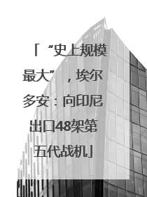 “史上规模最大”，埃尔多安：向印尼出口48架第五代战机