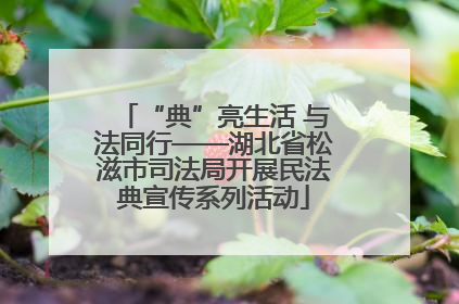 “典”亮生活 与法同行——湖北省松滋市司法局开展民法典宣传系列活动