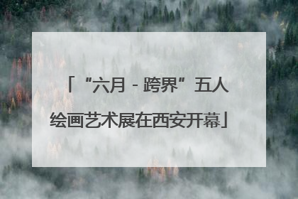 “六月 - 跨界”五人绘画艺术展在西安开幕
