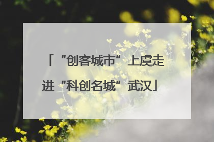 “创客城市”上虞走进“科创名城”武汉