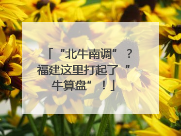 “北牛南调”？福建这里打起了“牛算盘”！