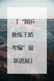 “国乒教练王皓考编”最新进展