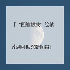 “四维帮扶”绘就莲湖村振兴新图景