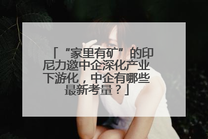 “家里有矿”的印尼力邀中企深化产业下游化，中企有哪些最新考量？