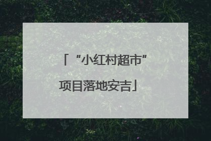 “小红村超市”项目落地安吉