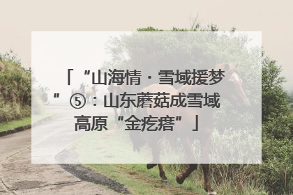 “山海情・雪域援梦”⑤：山东蘑菇成雪域高原“金疙瘩”