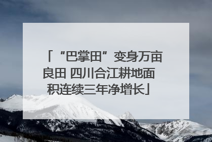 “巴掌田”变身万亩良田 四川合江耕地面积连续三年净增长