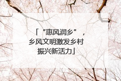 “惠风润乡”，乡风文明激发乡村振兴新活力