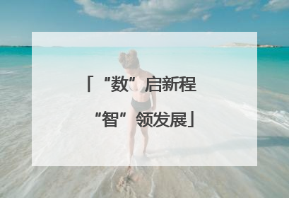 “数”启新程 “智”领发展