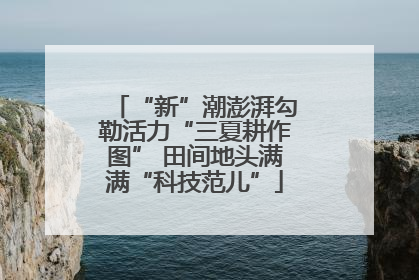 “新”潮澎湃勾勒活力“三夏耕作图” 田间地头满满“科技范儿”