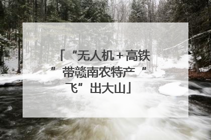 “无人机＋高铁”带赣南农特产“飞”出大山