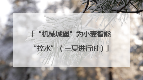 “机械城堡”为小麦智能“控水”（三夏进行时）