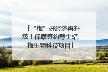 “梅”好经济再升级！保康签约野生蜡梅生物科技项目