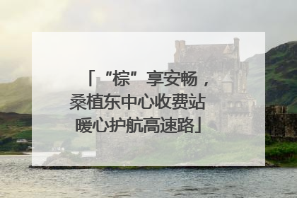 “棕”享安畅，桑植东中心收费站暖心护航高速路