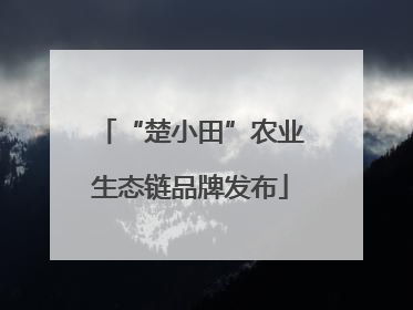 “楚小田”农业生态链品牌发布