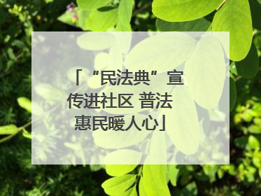 “民法典”宣传进社区 普法惠民暖人心