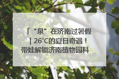 “泉”在济南过暑假｜26℃的夏日奇遇！带娃解锁济南植物园科普馆奇幻之旅