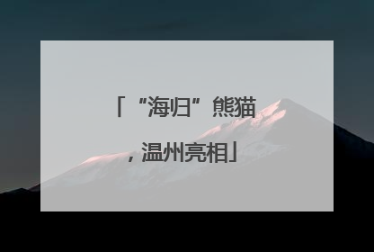 “海归”熊猫，温州亮相
