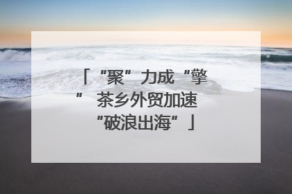 “聚”力成“擎” 茶乡外贸加速“破浪出海”
