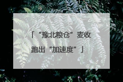 “豫北粮仓”麦收跑出“加速度”