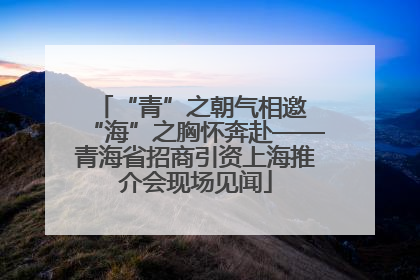 “青”之朝气相邀 “海”之胸怀奔赴——青海省招商引资上海推介会现场见闻