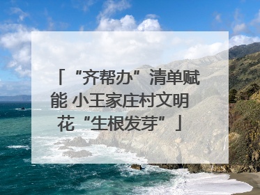 “齐帮办”清单赋能 小王家庄村文明花“生根发芽”